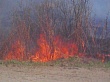 Обстановка с лесными пожарами с начала пожароопасного периода